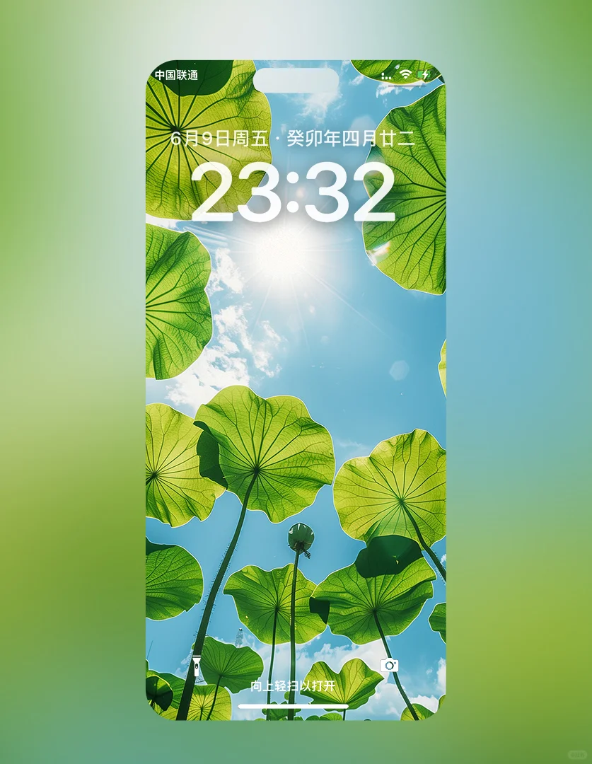 手机壁纸｜仲夏荷叶