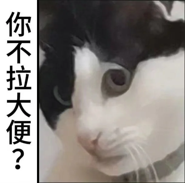 来点抽象猫猫表情包吧！