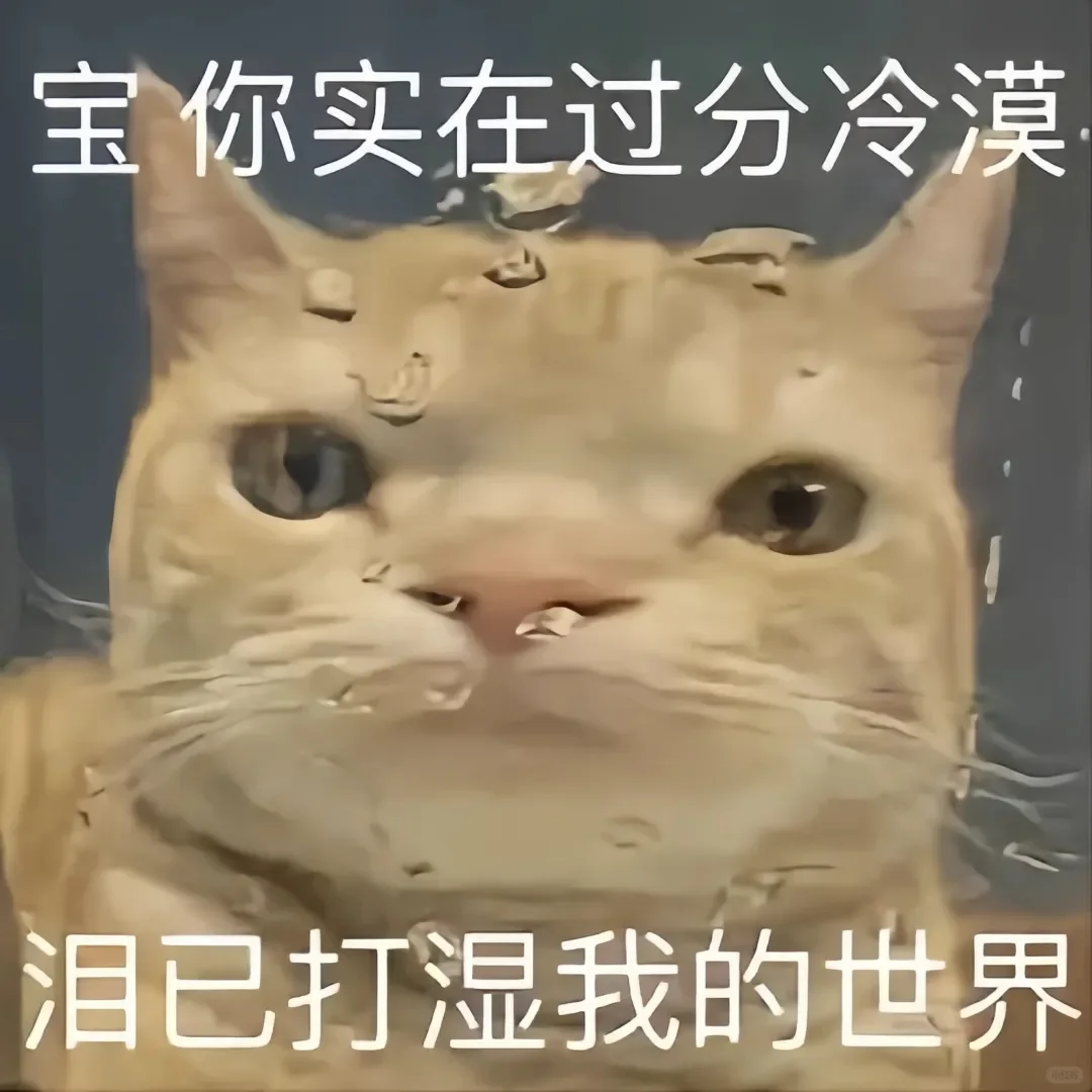 合法但有病的小猫表情包