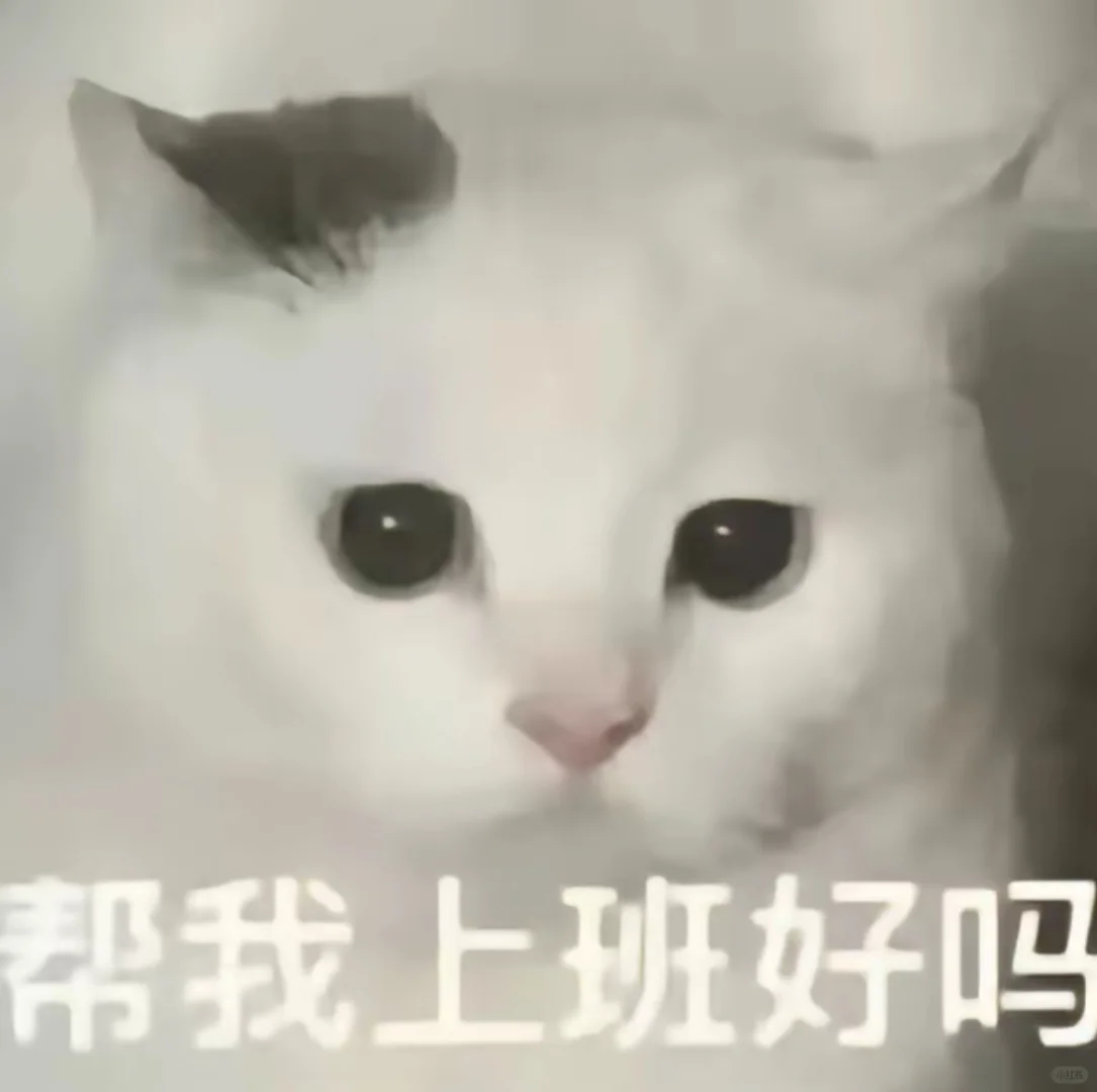 猫猫表情包，哈哈