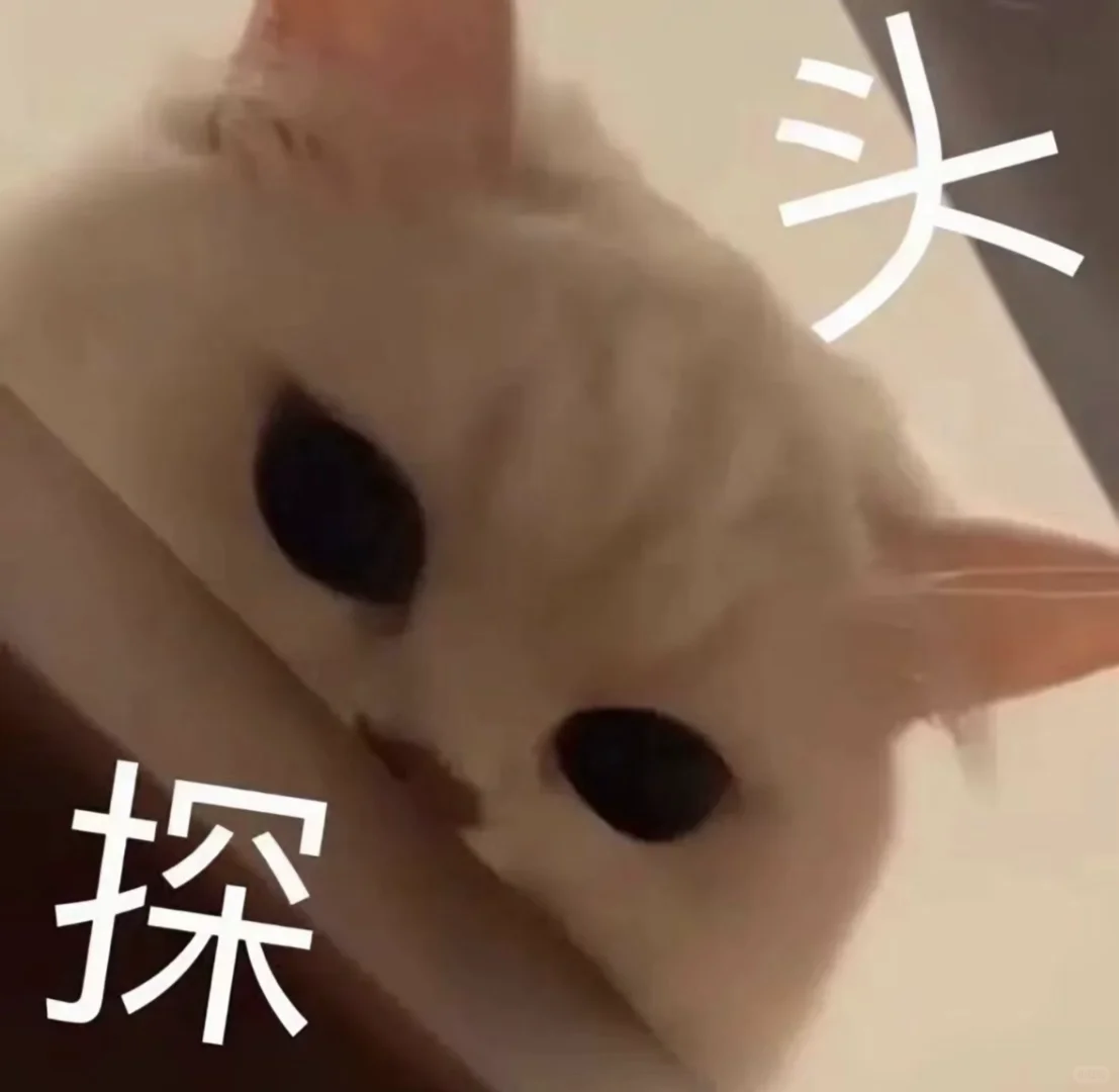 合法但有病的小猫表情包