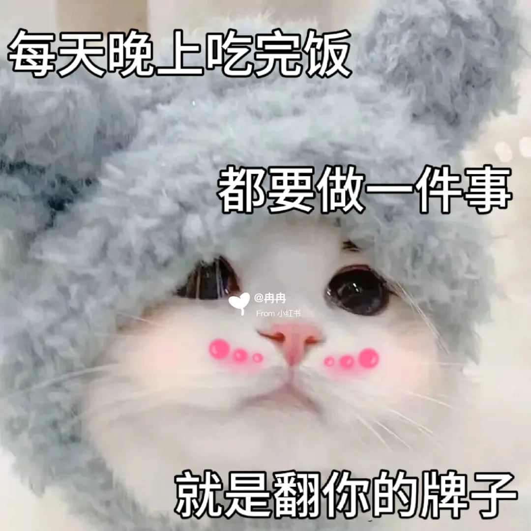 让男友很上头的猫咪表情包