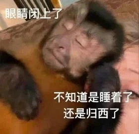 啊哈哈哈哈哈 嘲笑表情包