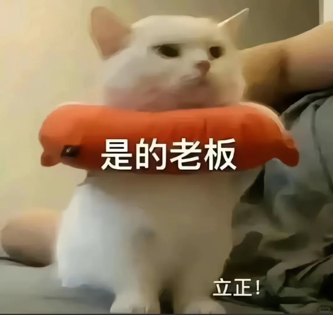 猫猫表情包，哈哈