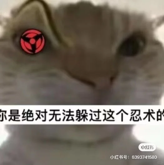 猫猫表情包（3）