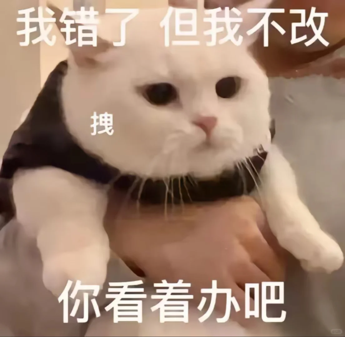 猫猫表情包，哈哈