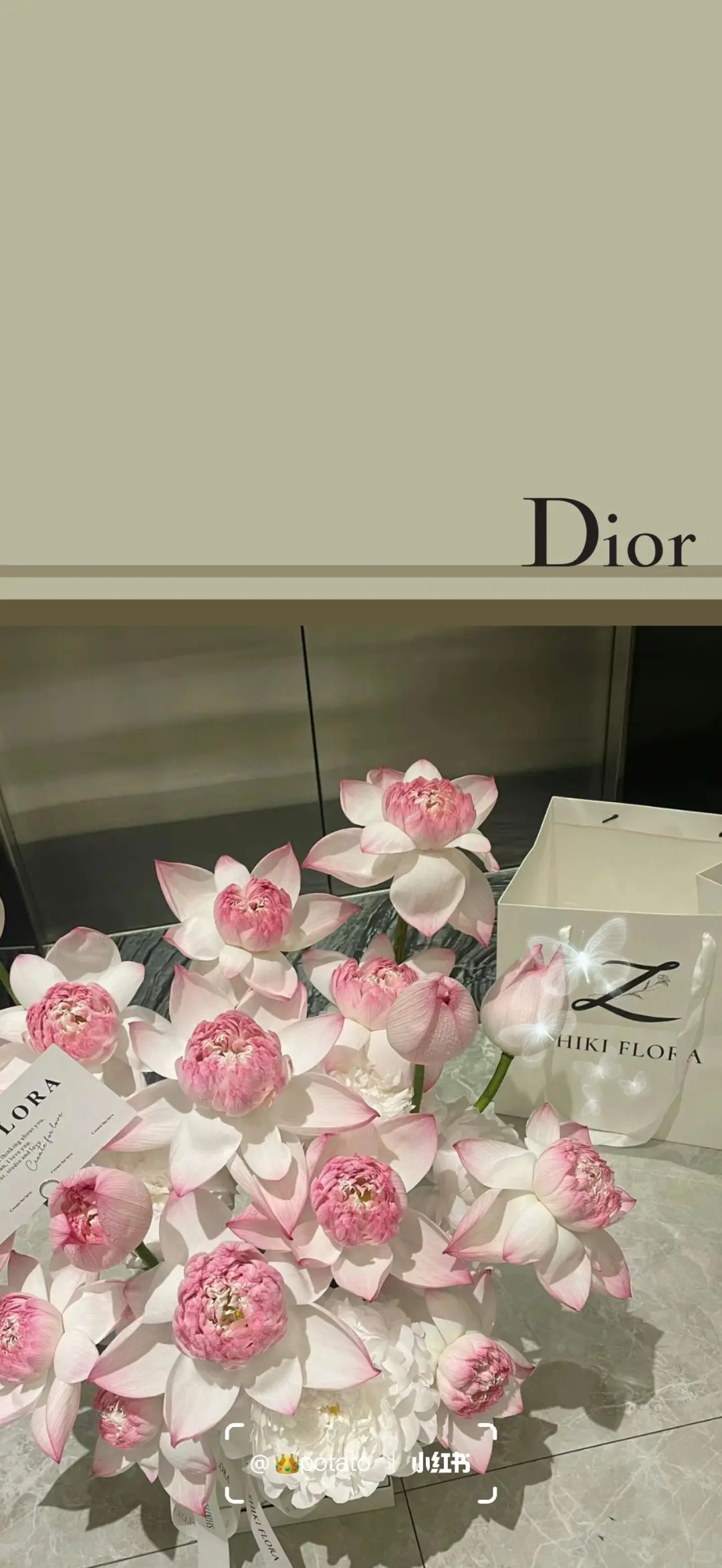 Dior｜?荷花 好运莲莲 手机壁纸