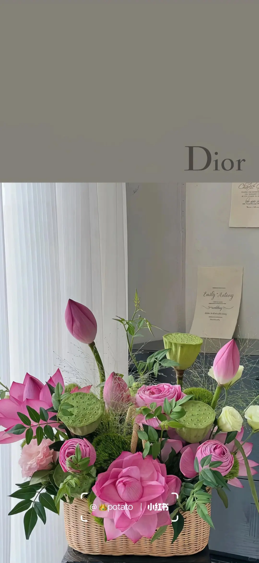 Dior｜?荷花 好运莲莲 手机壁纸