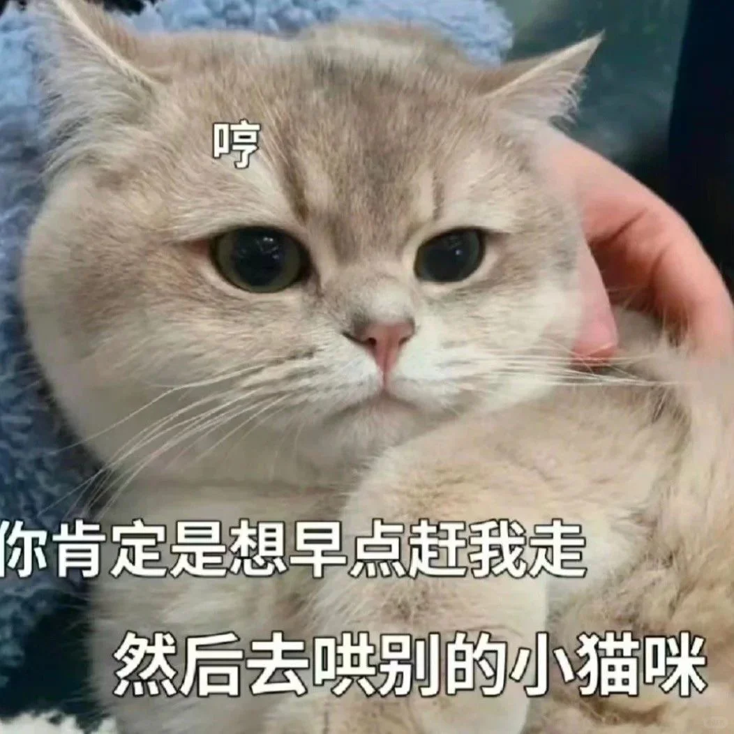 发给crush表情包