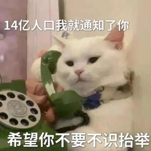 有趣的猫咪表情包?