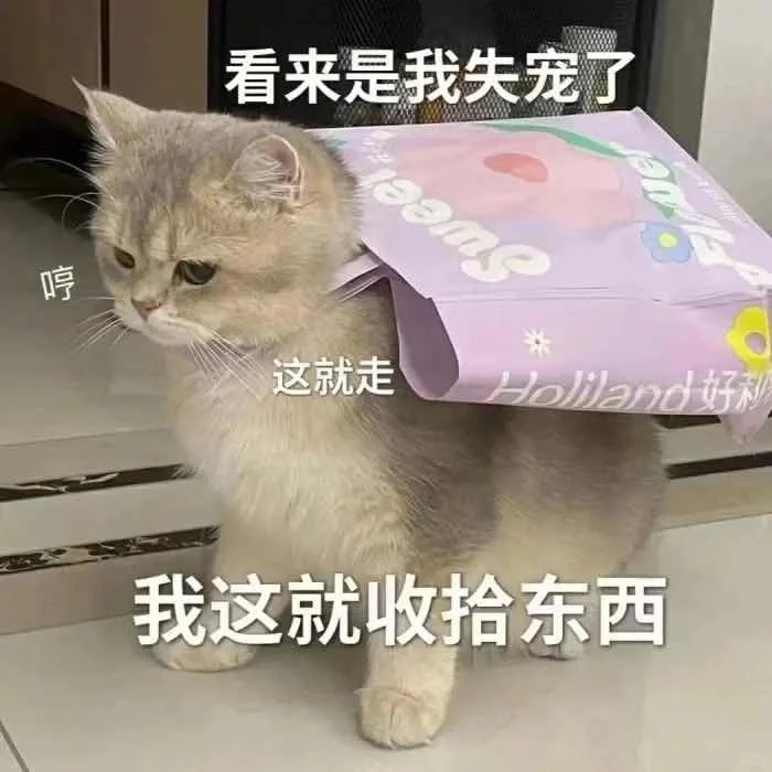 有趣的猫咪表情包?