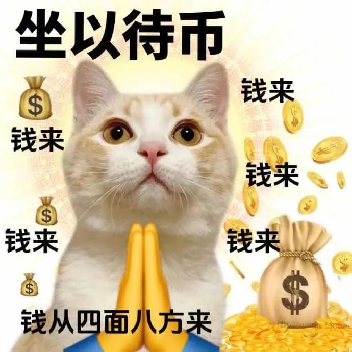 有趣的猫咪表情包?