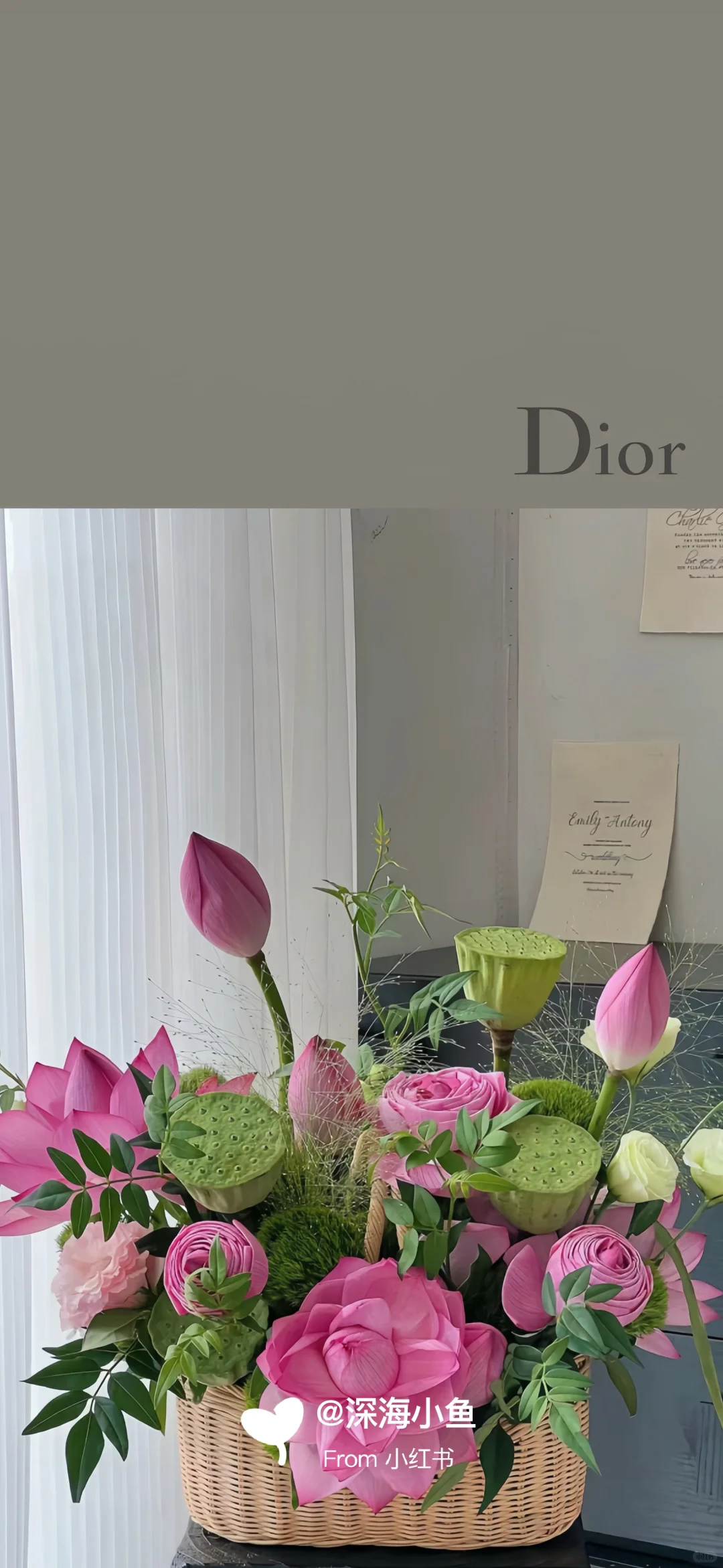 Dior 荷花 好运莲莲 荷气生财 手机壁纸