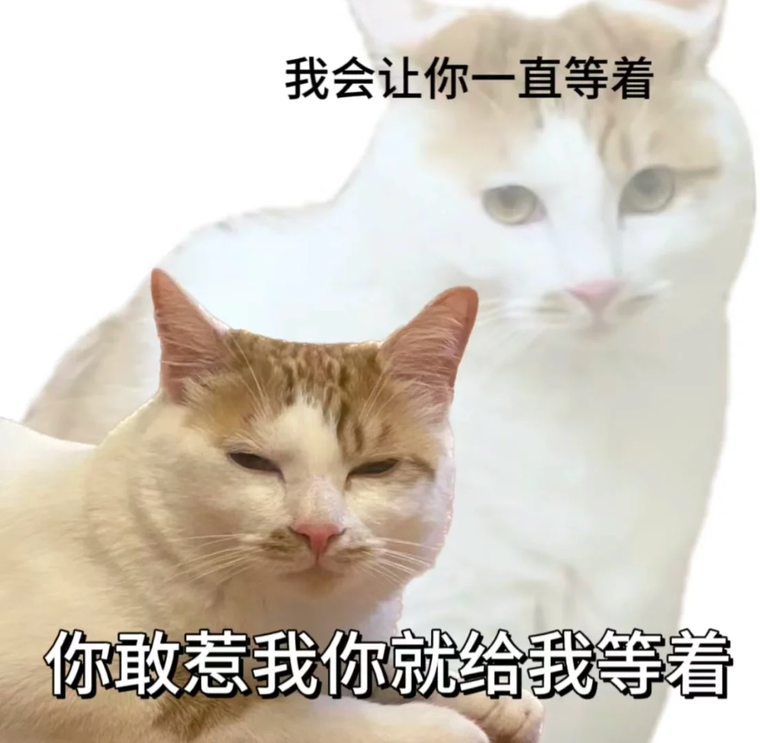 整点猫猫表情包找灵感