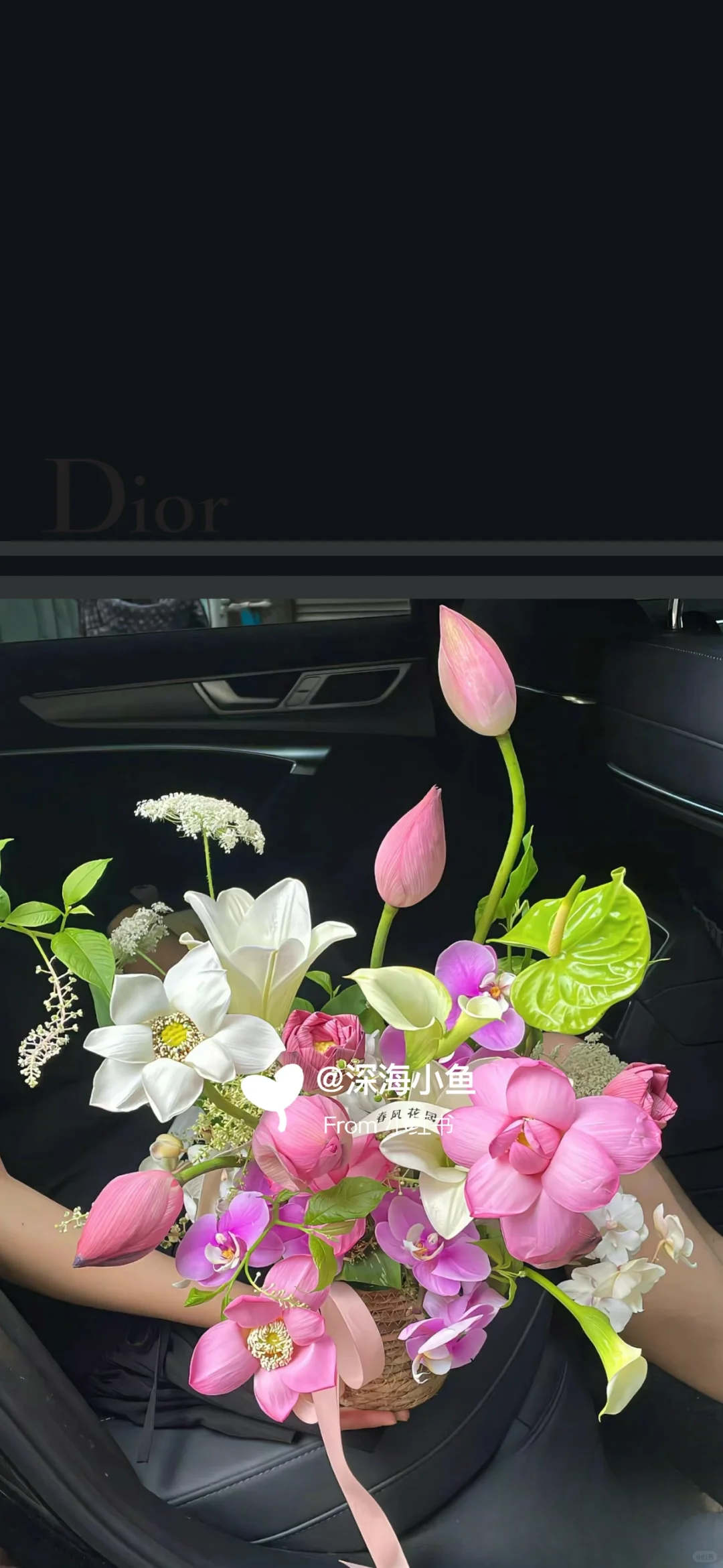 Dior 荷花 好运莲莲 荷气生财 手机壁纸