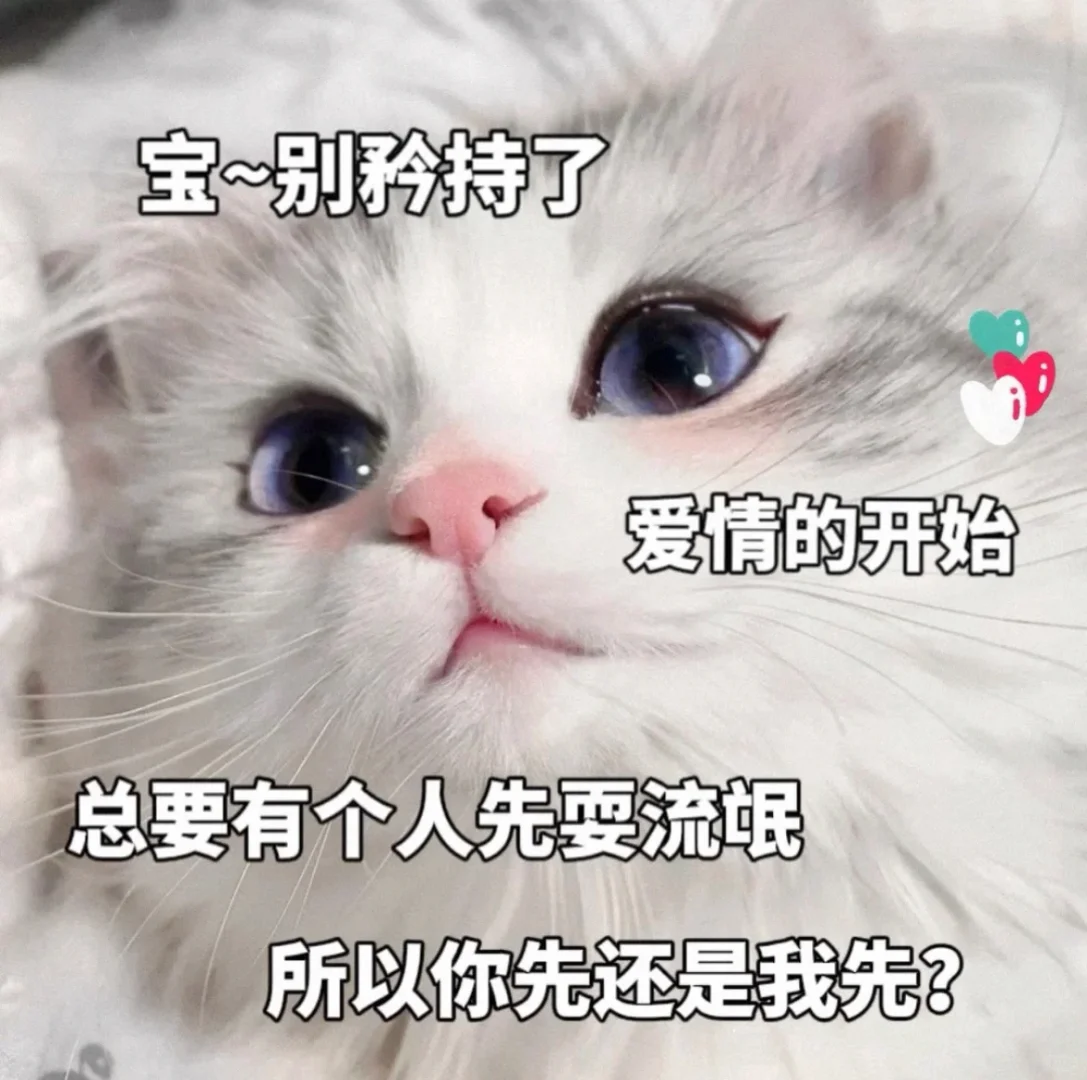 撩男朋友的猫咪表情包?（七）