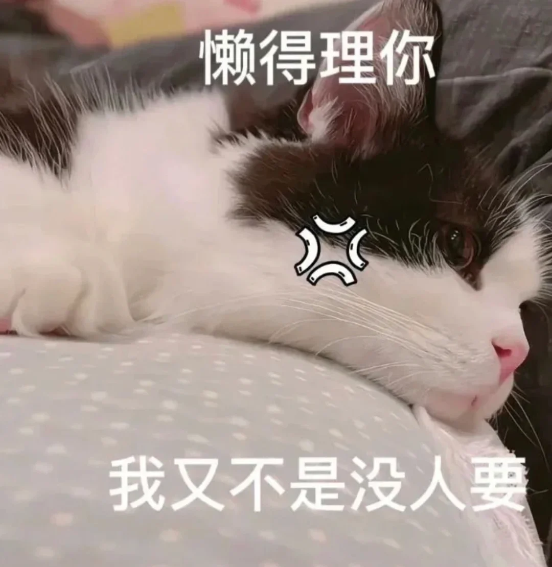 撩男朋友的猫咪表情包?（七）