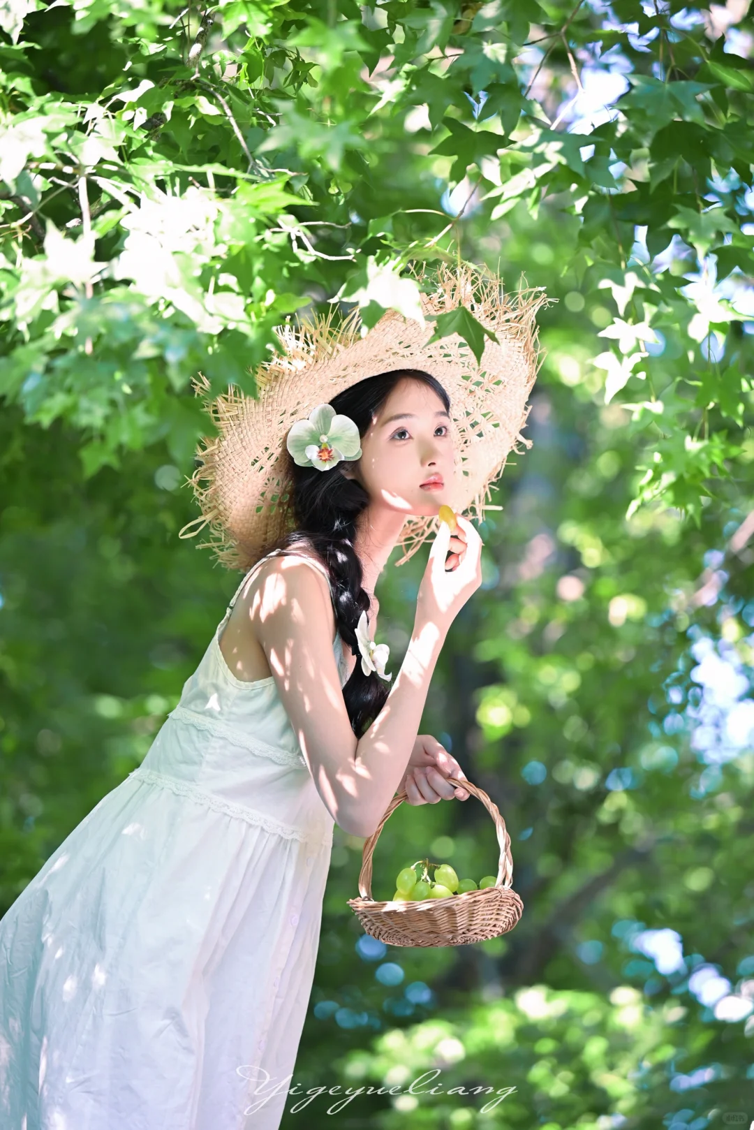 名为绿色的夏天?夏日清凉感写真