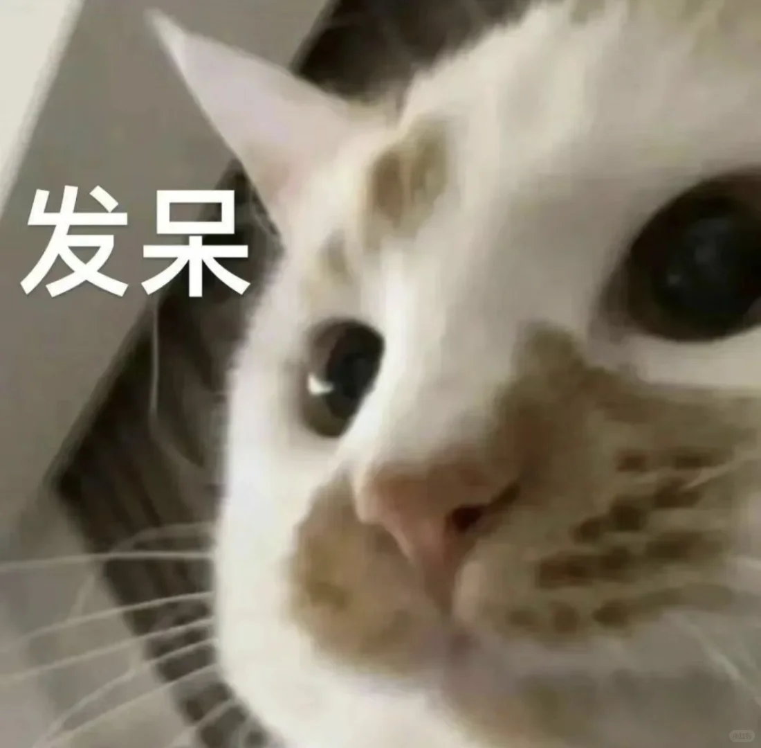 猫猫打工人表情包