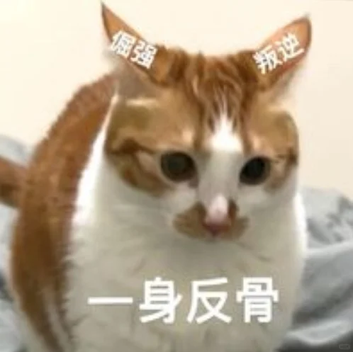 猫猫打工人表情包