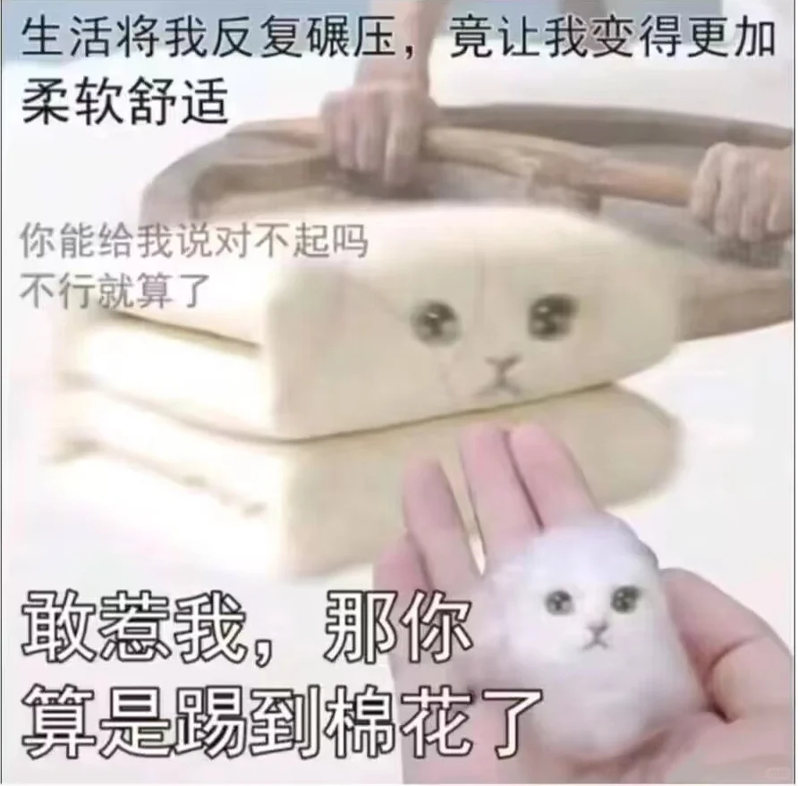 猫猫打工人表情包