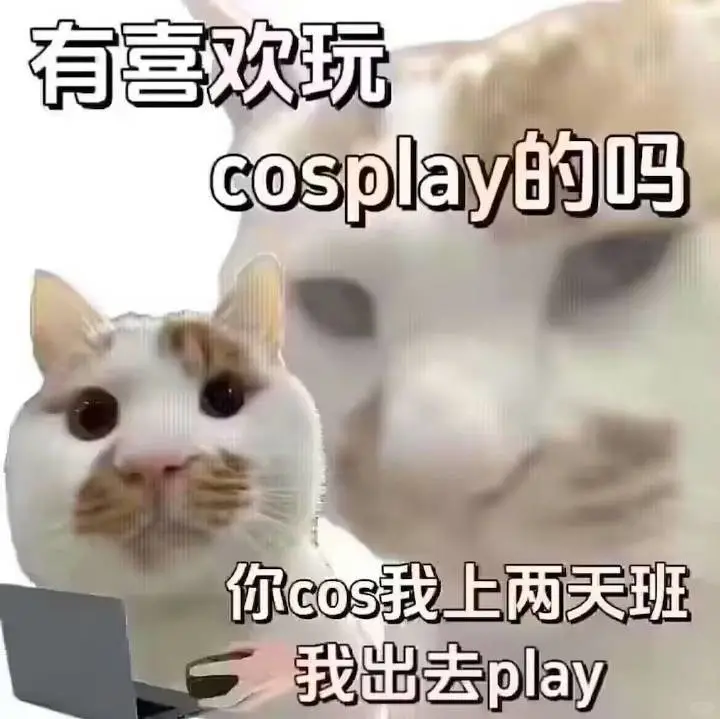 猫猫打工人表情包