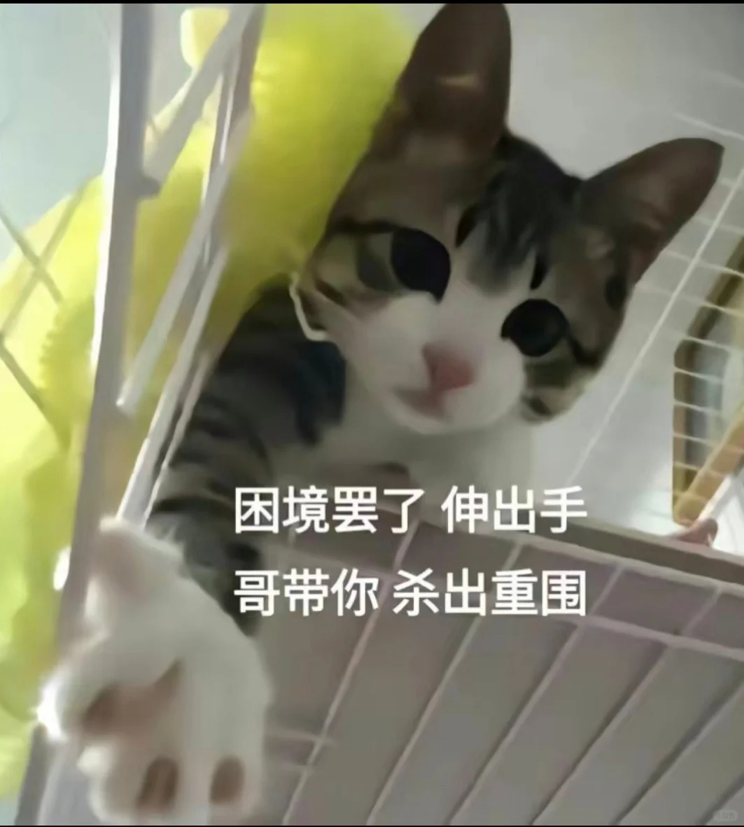 猫猫打工人表情包