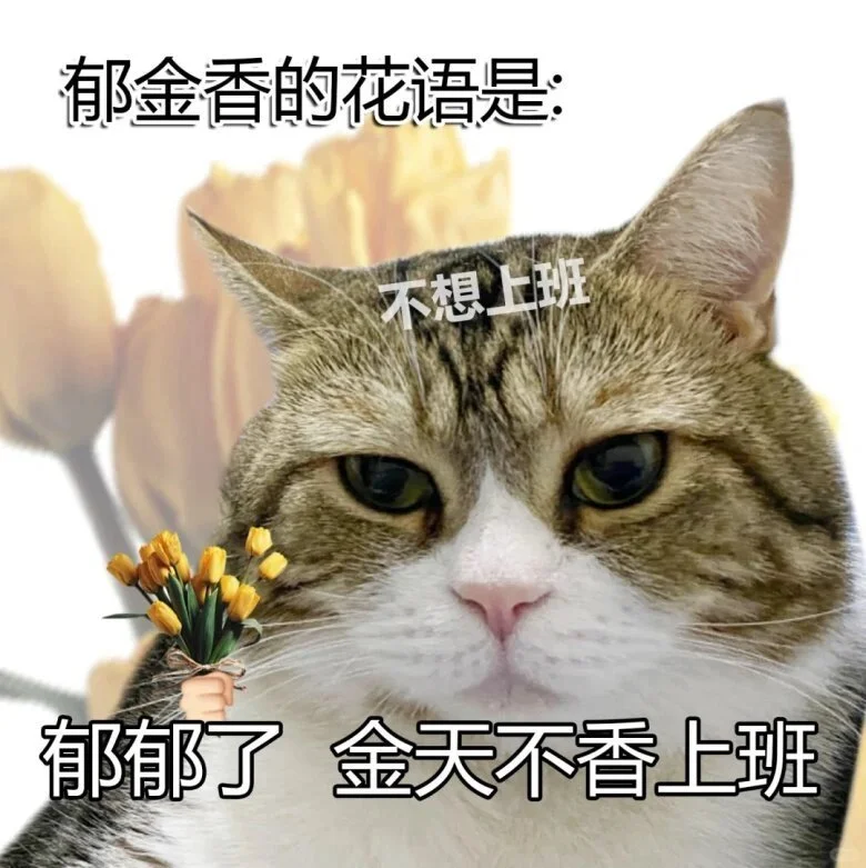 猫猫打工人表情包