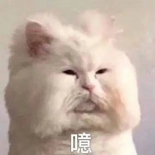 精神状态大起大落‖猫咪表情包