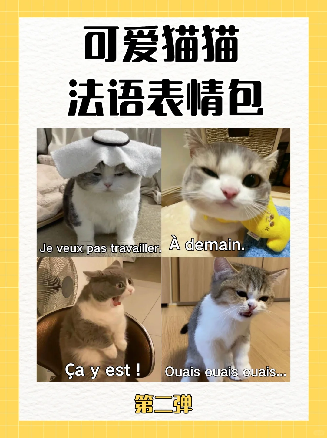 可爱猫猫?法语表情包第二弹来咯