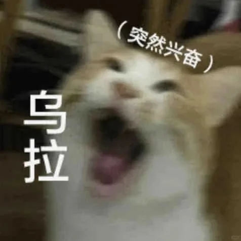 精神状态大起大落‖猫咪表情包