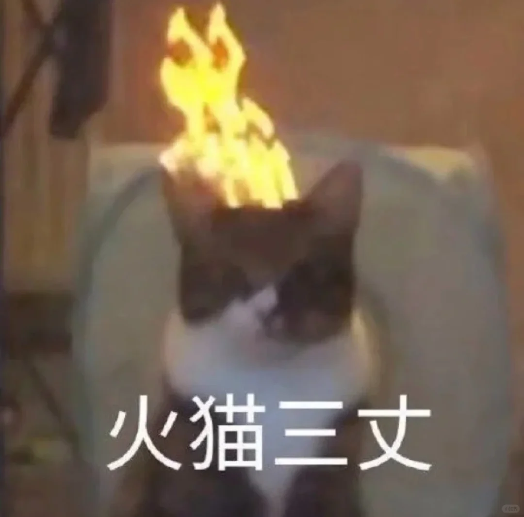 精神状态大起大落‖猫咪表情包