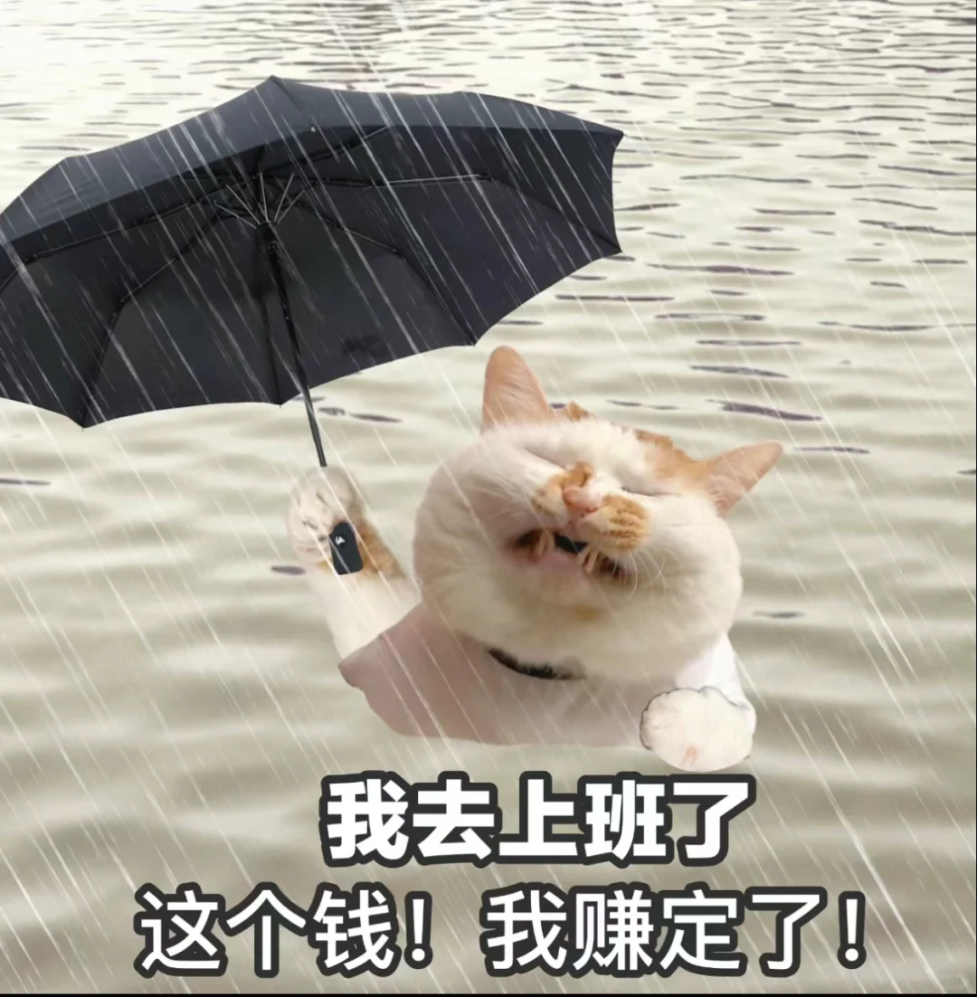 就让这大雨全都落下