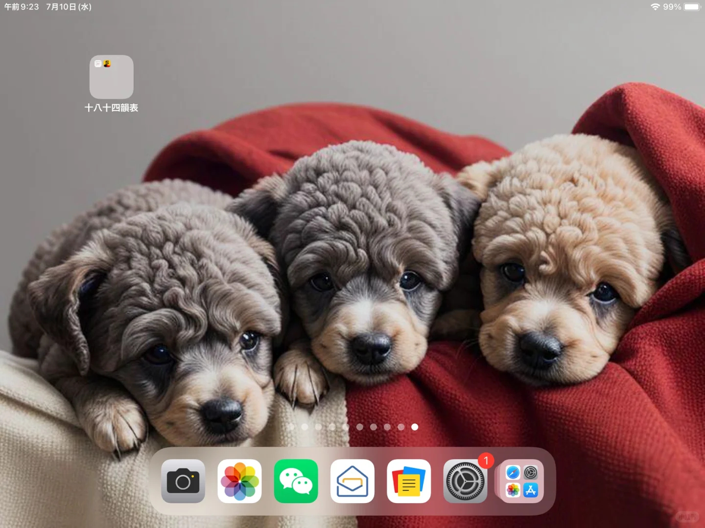 存图，iPad mini 壁纸。