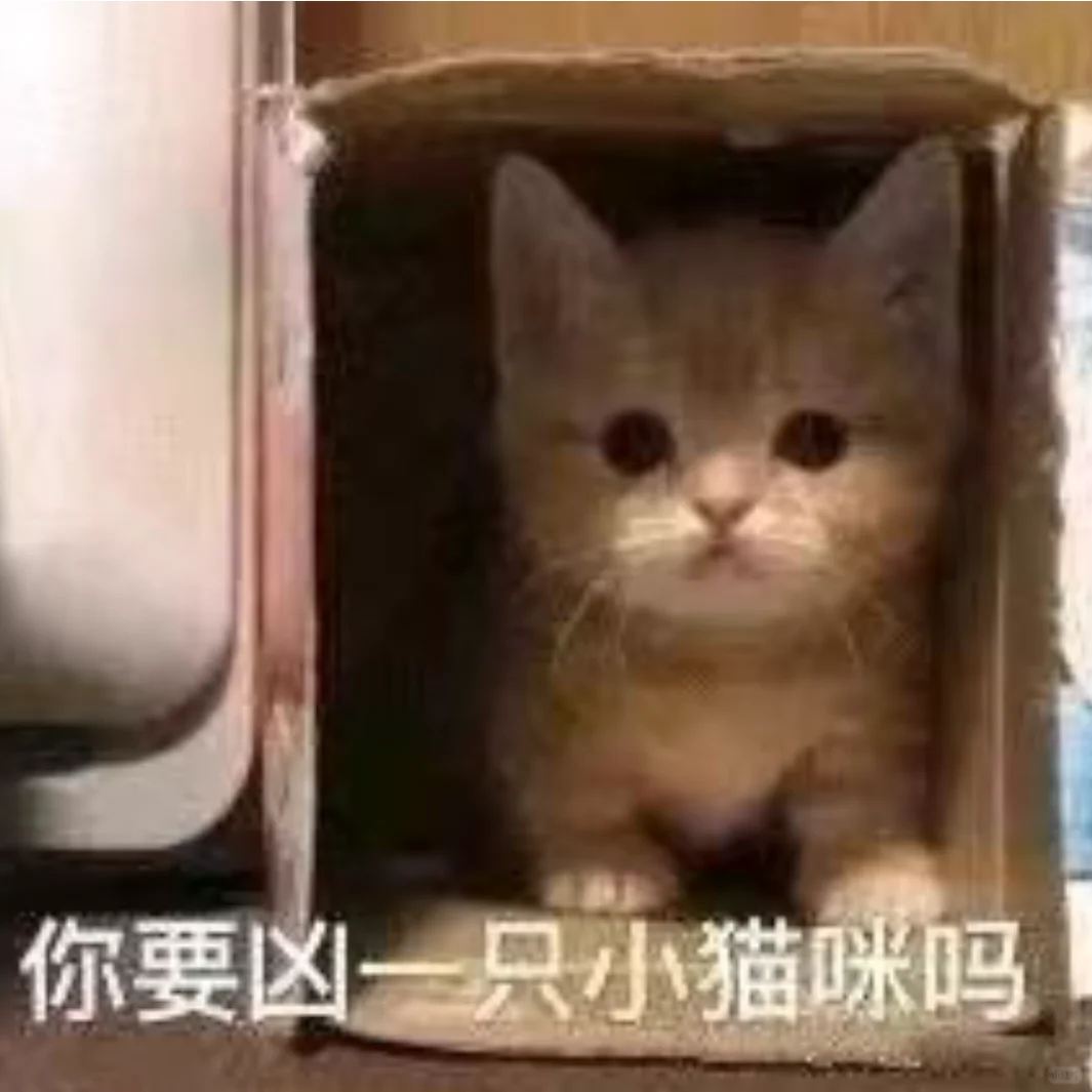 修猫表情包(៸៸᳐⦁⩊⦁៸៸᳐ )੭奶牛猫易如反掌