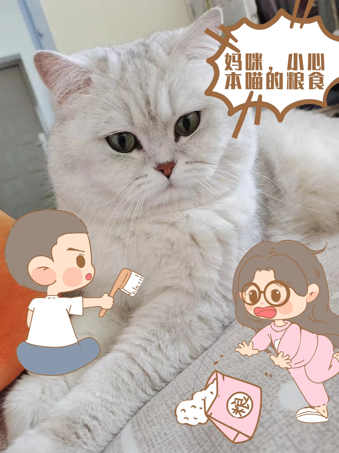 你家猫也是表情包？忍不住画个小漫画