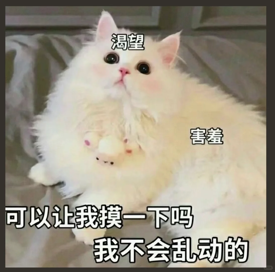 可可爱爱小表情