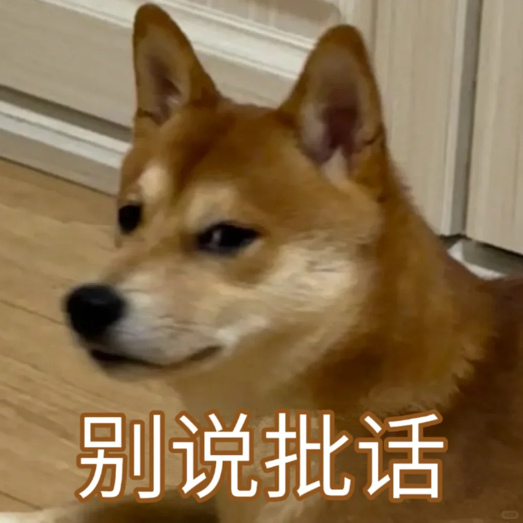 柴犬表情包plus版