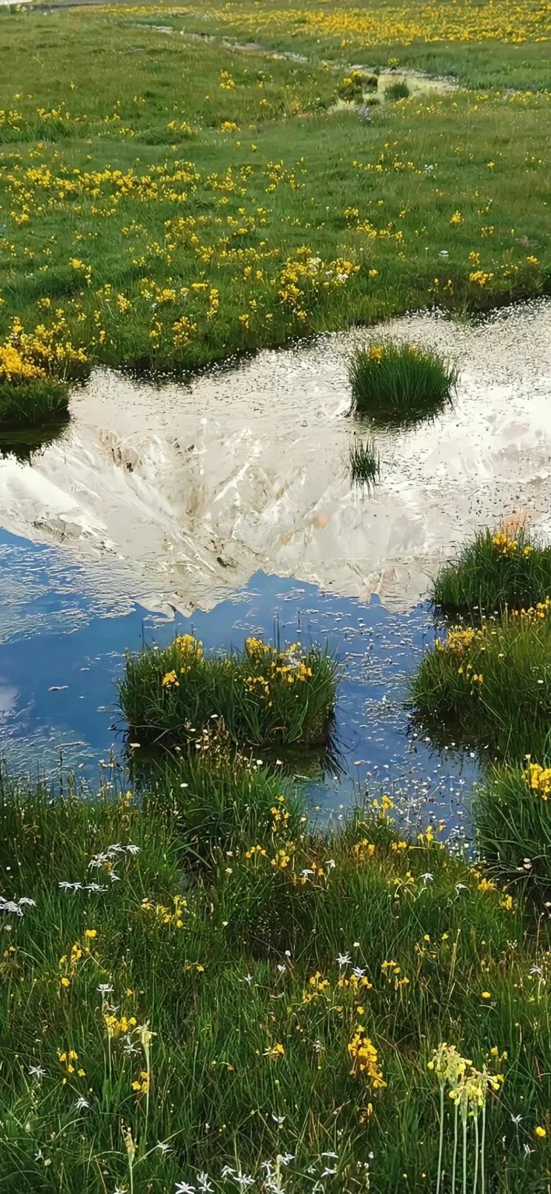 这组壁纸有夏天的味道耶?