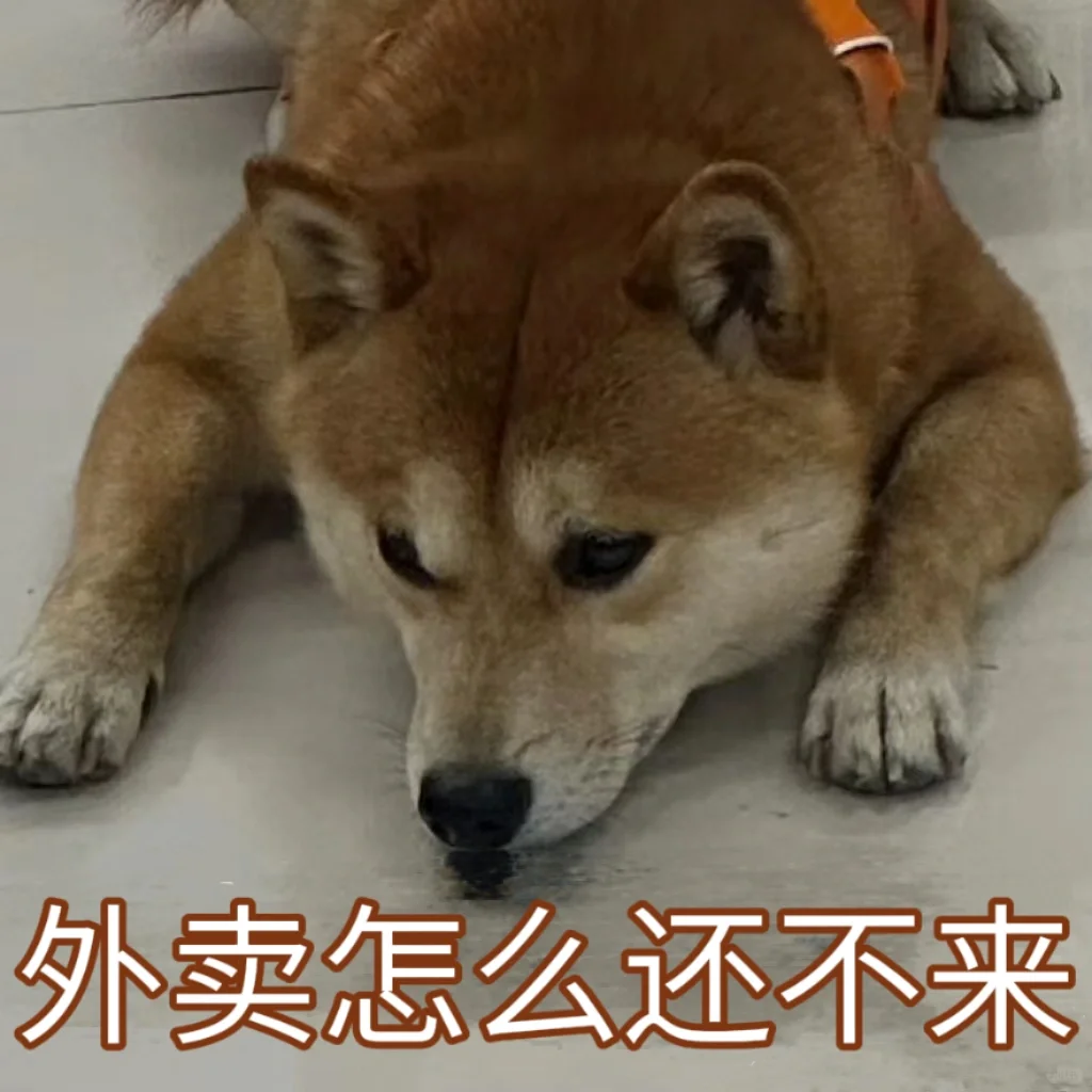 柴犬表情包plus版