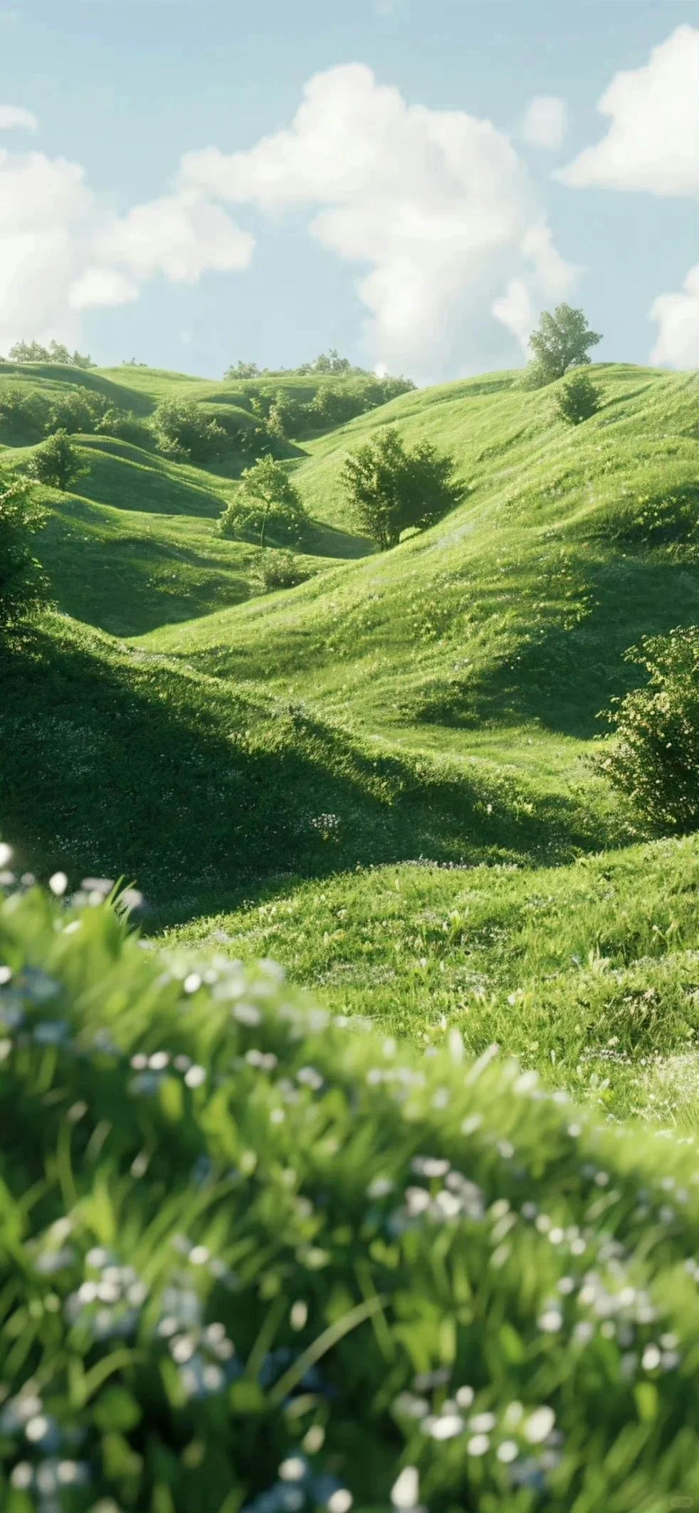 这组壁纸有夏天的味道耶?