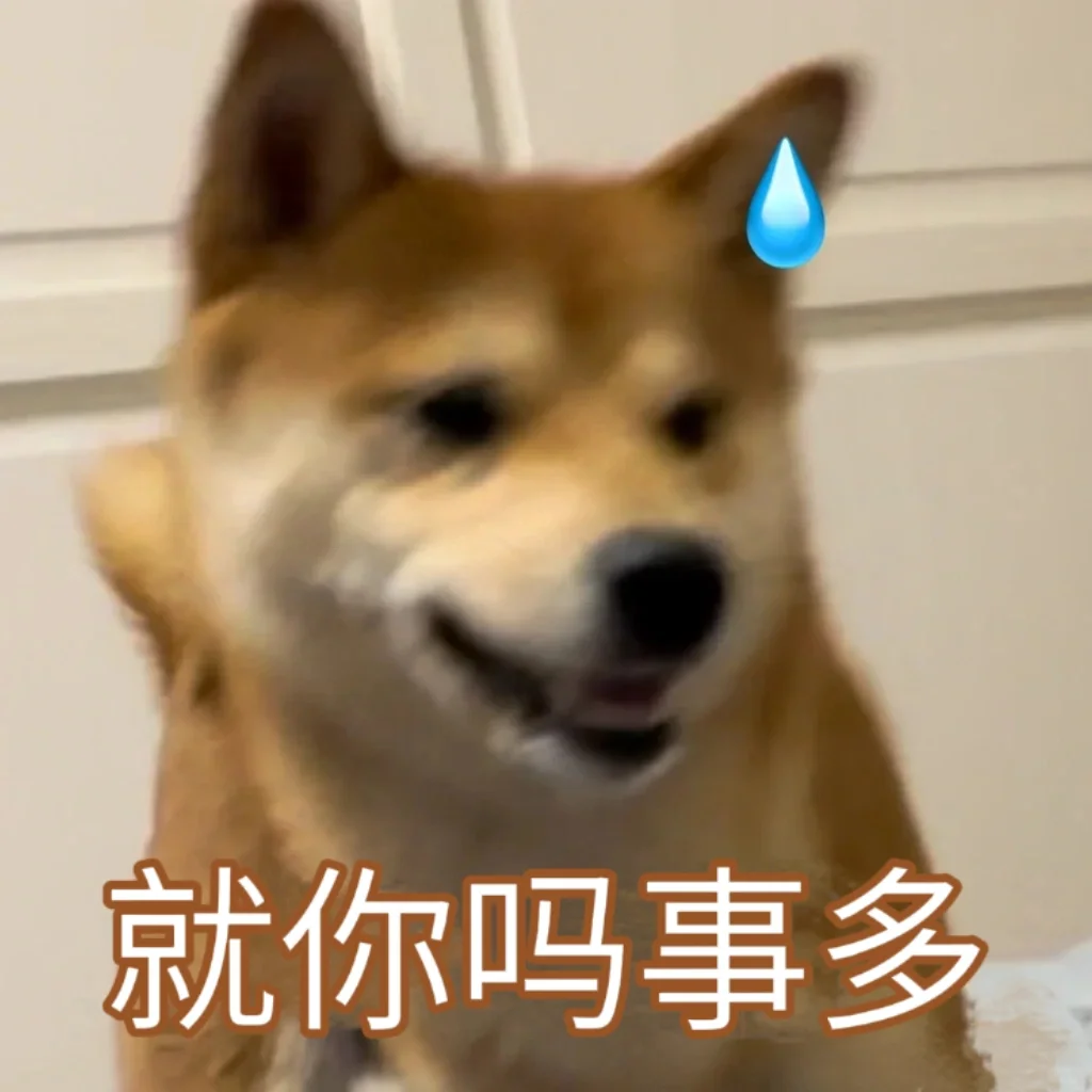 柴犬表情包plus版