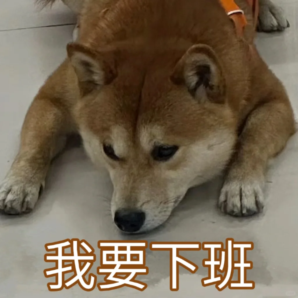 柴犬表情包plus版