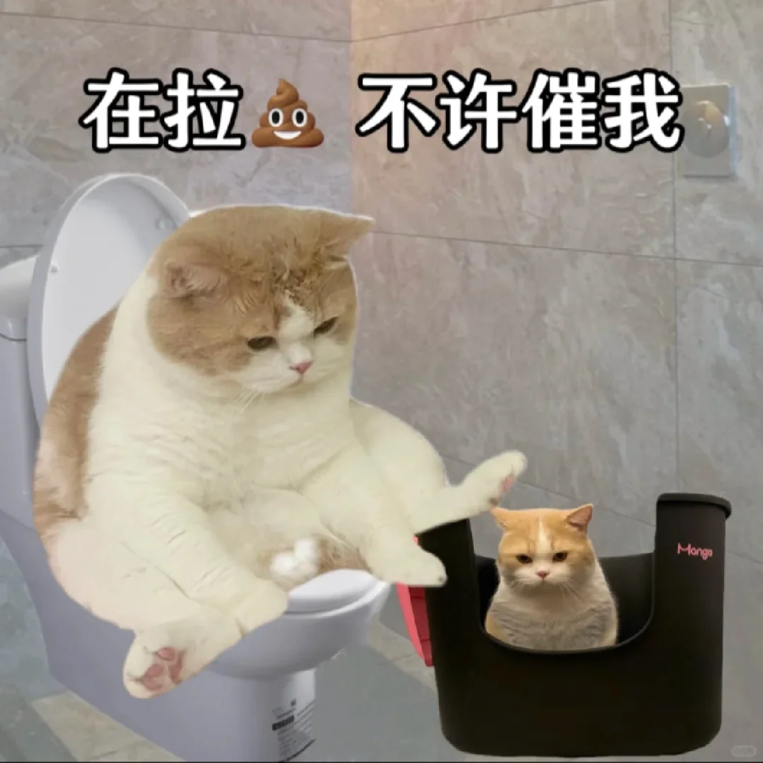 《小猪咪上班阴阳怪气表情包～》