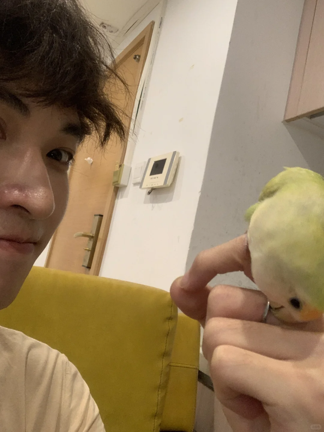 咋咋呼呼小鸟🦜