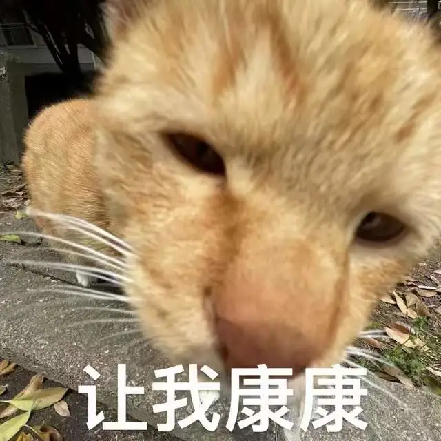 上师大小猫咪第一弹表情包来咯