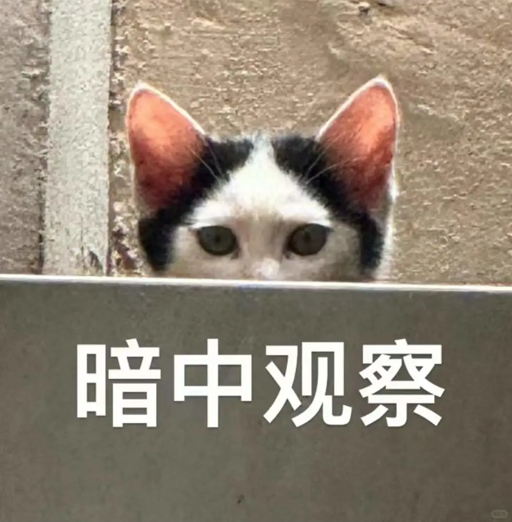 上师大小猫咪第一弹表情包来咯