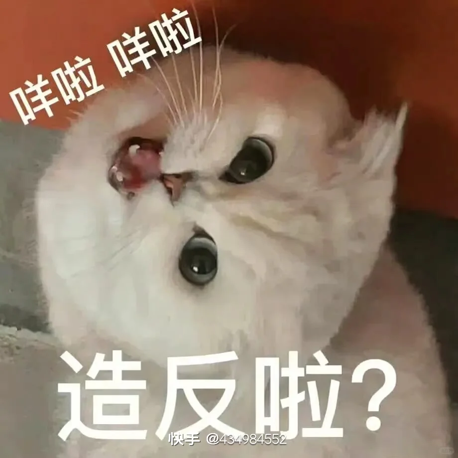 发表情包，赞拿