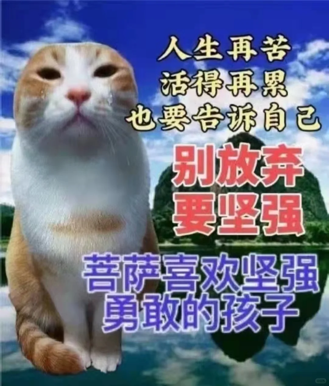 发表情包，赞拿