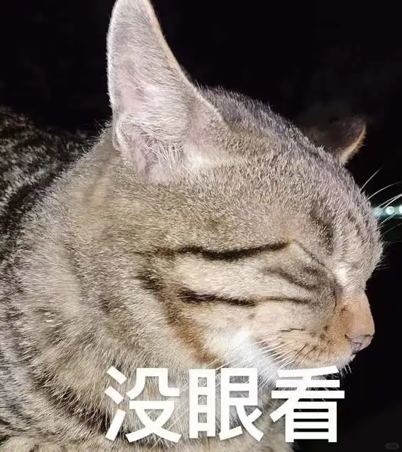 上师大小猫咪第一弹表情包来咯